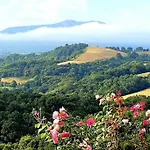 Baigura - Deconnexion Au Pays Basque