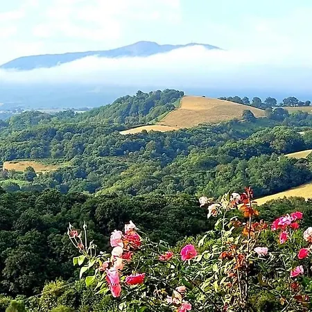 Baigura - Deconnexion Au Pays Basque