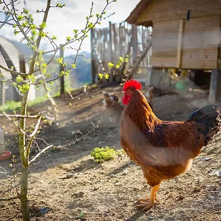 Baigura - Deconnexion Au Pays Basque 아파트 *