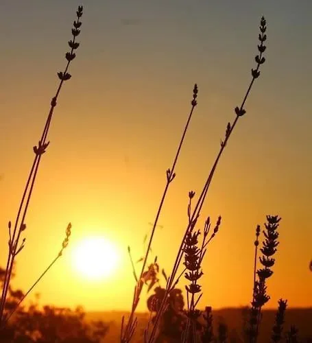 Baigura - Deconnexion Au Pays Basque Апартаменты Аспаррен
