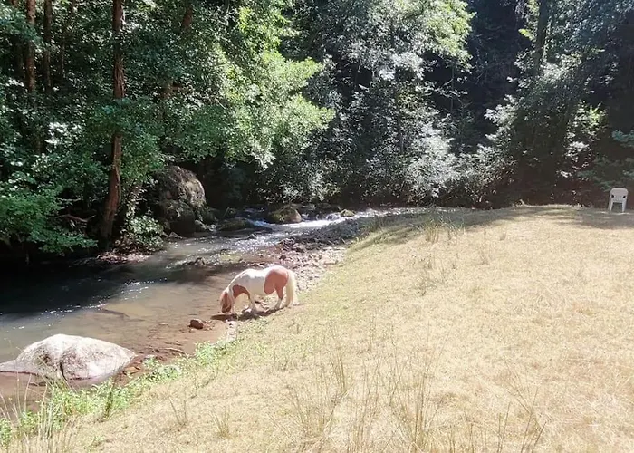Baigura - Deconnexion Au Pays Basque Апартаменты