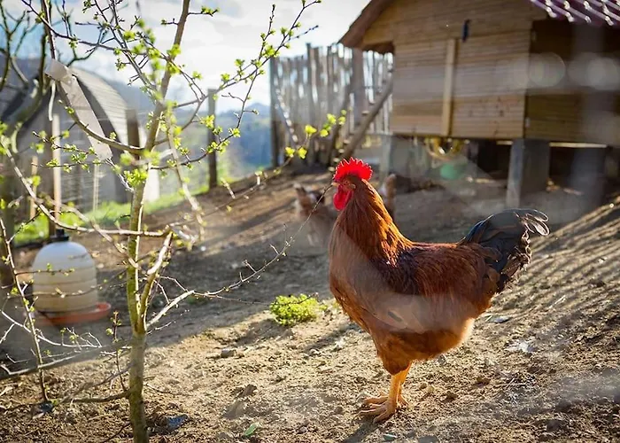 Baigura - Deconnexion Au Pays Basque Апартаменты *