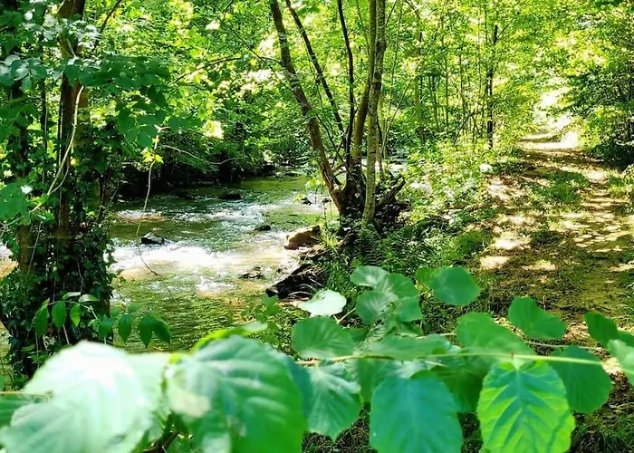 Baigura - Deconnexion Au Pays Basque * Аспаррен
